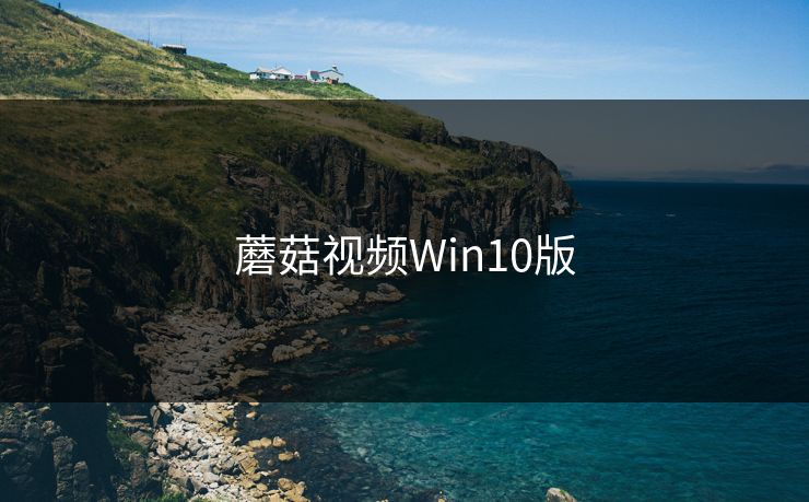 蘑菇视频Win10版