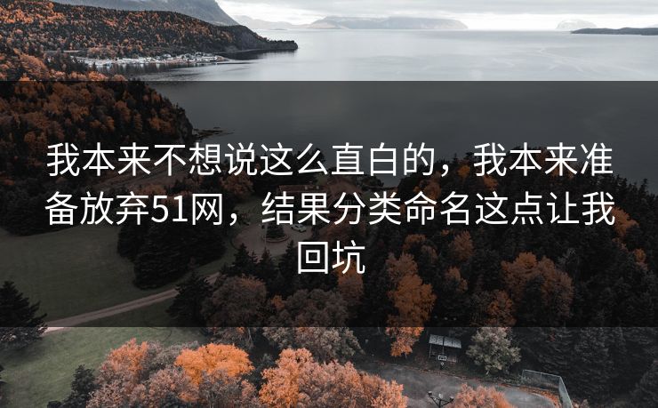 我本来不想说这么直白的，我本来准备放弃51网，结果分类命名这点让我回坑