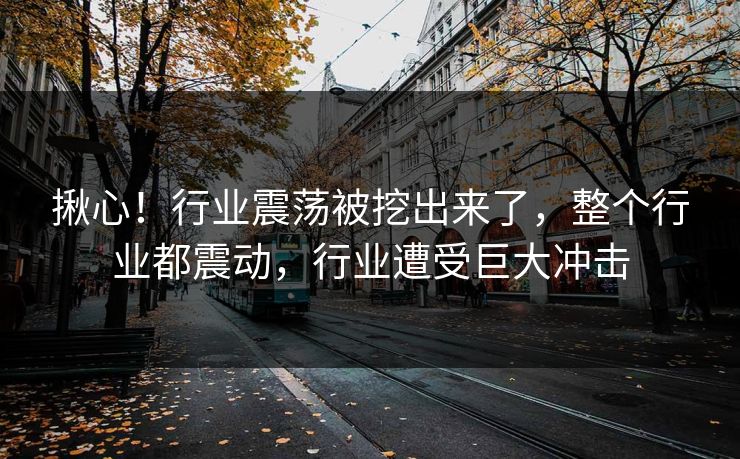 揪心！行业震荡被挖出来了，整个行业都震动，行业遭受巨大冲击
