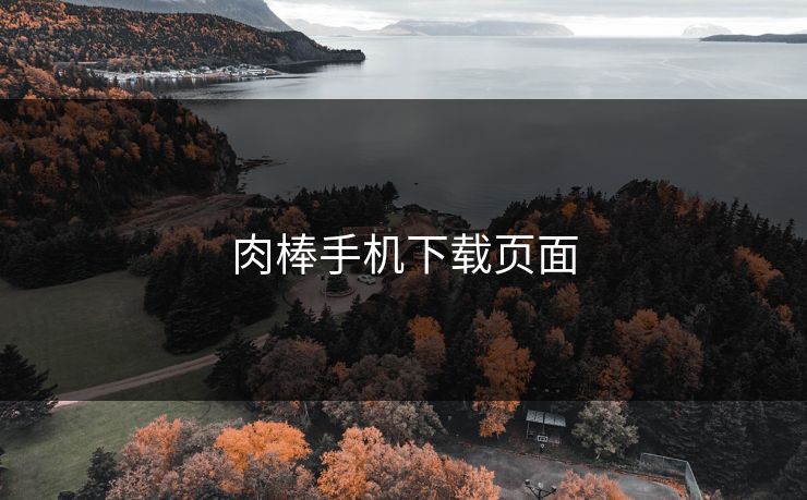 肉棒手机下载页面